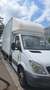 Mercedes-Benz Sprinter CHASSIS CAB 513 CDI 37 3.5t Blanc - thumbnail 1