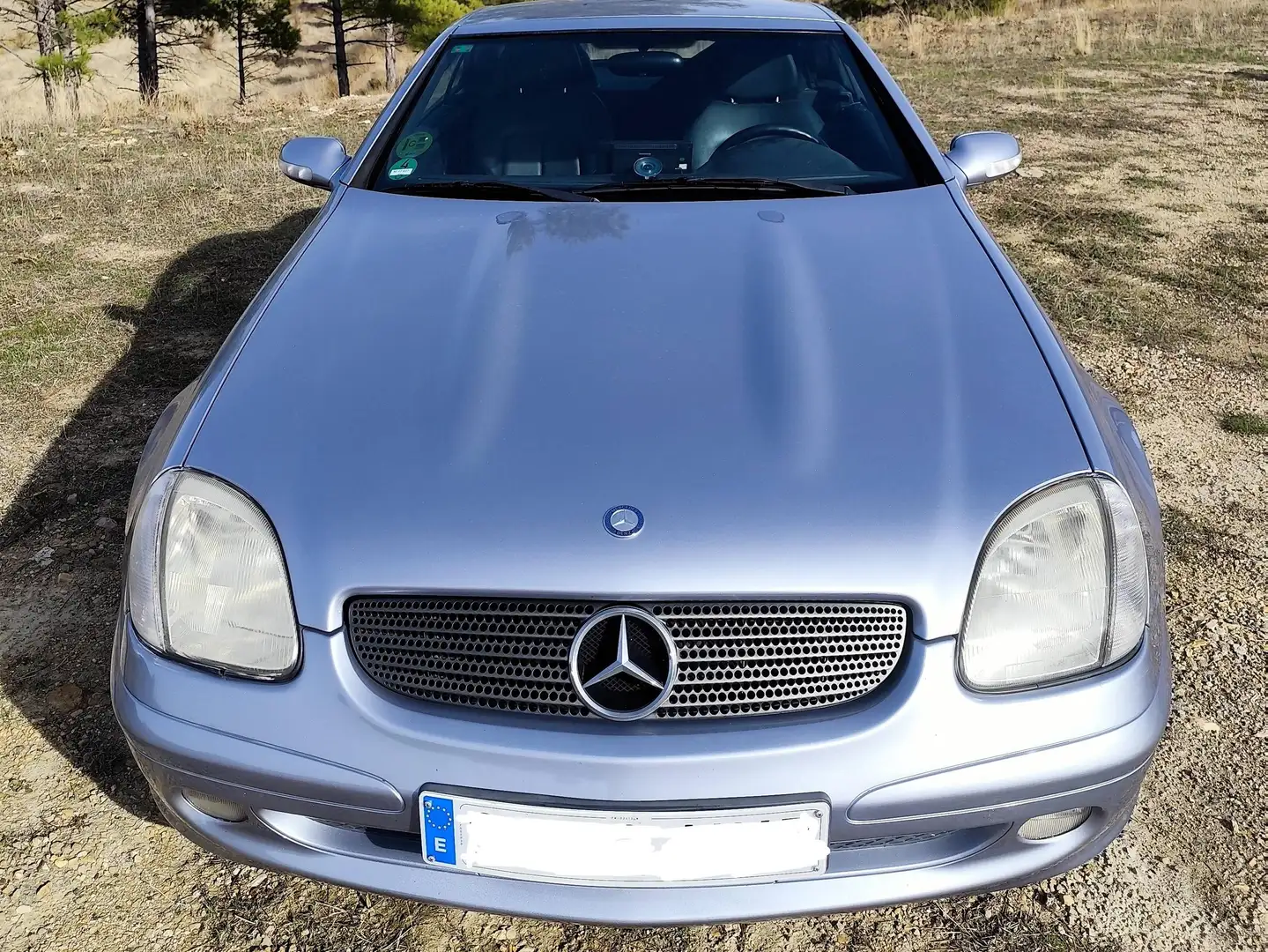 Mercedes-Benz SLK 200 SLK 200 Kompressor Plateado - 2