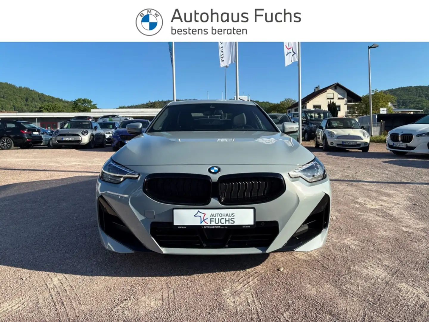 BMW 220 i Coupe M Sport Lenkradheiz el.Sitze Memory AHK Pa Grau - 2