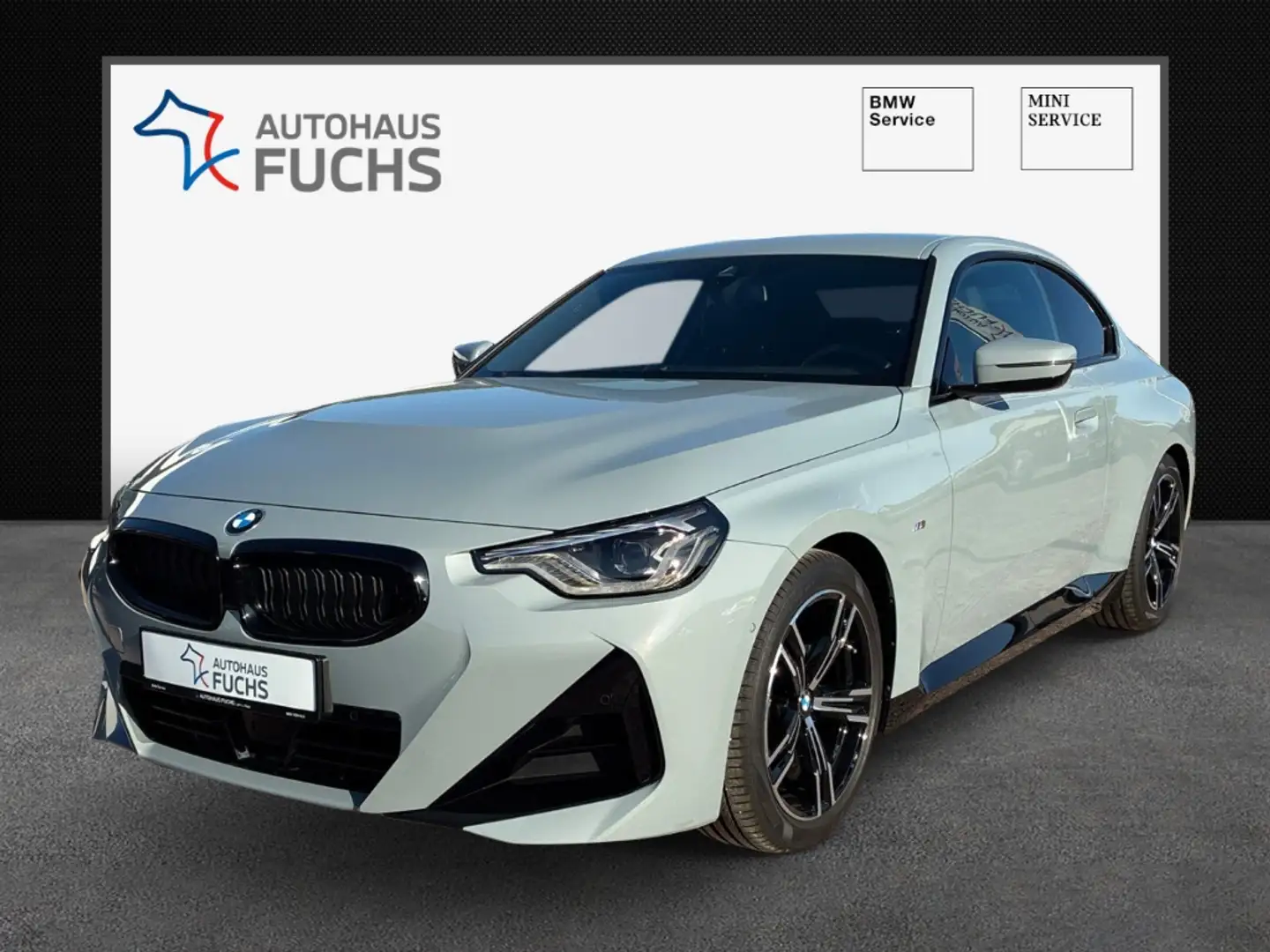 BMW 220 i Coupe M Sport Lenkradheiz el.Sitze Memory AHK Pa Grau - 1