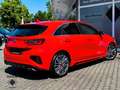 Kia Ceed / cee'd GT 1.6T-GDI EU6d-T Navi/Leder/LED/CarPlay/Mehrzone Rot - thumbnail 4