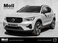 Volvo XC40 Plus Dark 2WD B4 EU6d digitales Cockpit Memory Sit Сірий - thumbnail 1
