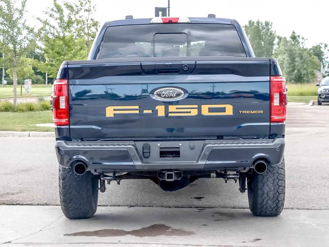 Ford F 150 photo Ford F 150