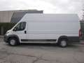 Fiat Ducato MAXI 35 2.3 MJT 130CV XLH3 Weiß - thumbnail 5