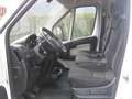 Fiat Ducato MAXI 35 2.3 MJT 130CV XLH3 Weiß - thumbnail 6