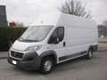 Fiat Ducato MAXI 35 2.3 MJT 130CV XLH3 Weiß - thumbnail 1