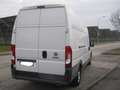 Fiat Ducato MAXI 35 2.3 MJT 130CV XLH3 Weiß - thumbnail 3