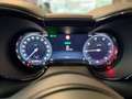 Alfa Romeo Tonale Ti Grau - thumbnail 12