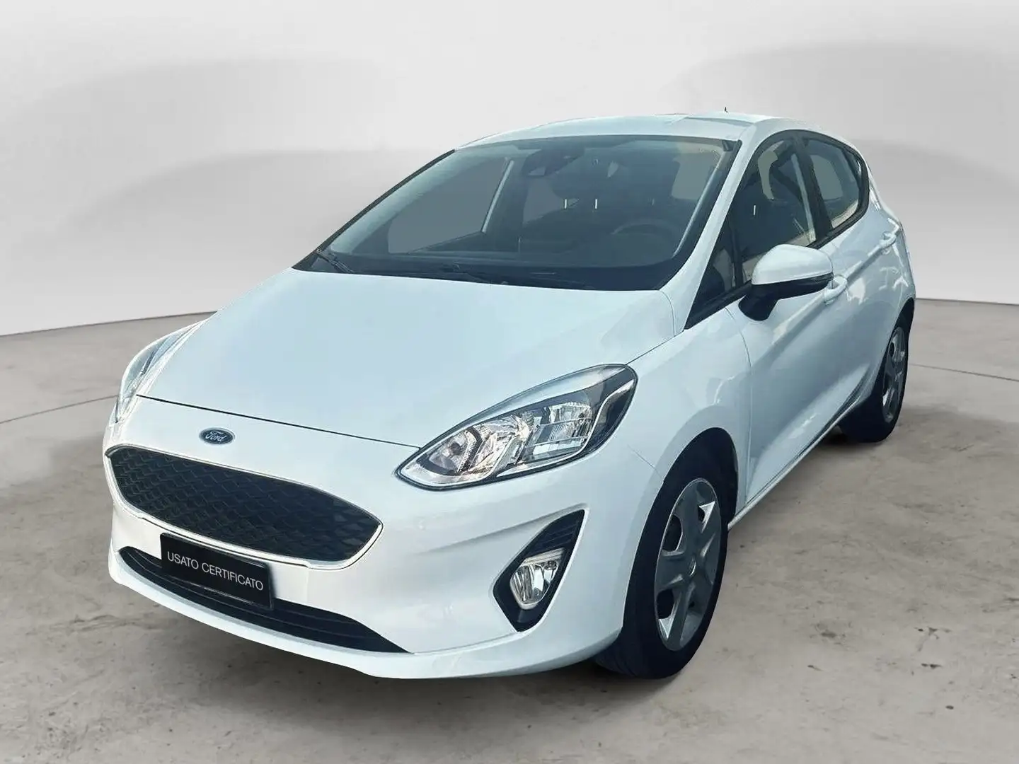 Ford Fiesta 1.5 EcoBlue 85 CV 5 porte Business Bianco - 1