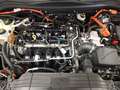 Ford Kuga ST-Line 2.5 DuraTec PHEV Automatik Schwarz - thumbnail 22
