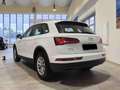 Audi Q5 2.0 TDI quattro S tronic Business Design Weiß - thumbnail 6