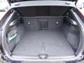 Volvo C40 Recharge Plus Twin Motor PANORAMA/BLIS/KAMER Schwarz - thumbnail 11