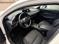 Mazda CX-30 CX-30 2.0 m-hybrid Exceed 2wd 150cv 6at Blanc - thumbnail 5