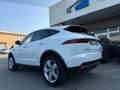 Jaguar E-Pace E-Pace 2.0d i4 mhev awd 163cv auto Blanc - thumbnail 6