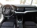 Skoda Octavia Combi 2,0 TDI DSG *LED MIT FLA & DYN BLINKER / 17 ZOLL / VIRTUELL  / NAVI / KAMERA / SHZG V+H / 3-ZONEN-KLIMA* Weiß - thumbnail 3