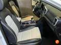 Kia Sportage 1.6 CRDi GT Line Essential 4x2 115 Blanco - thumbnail 18