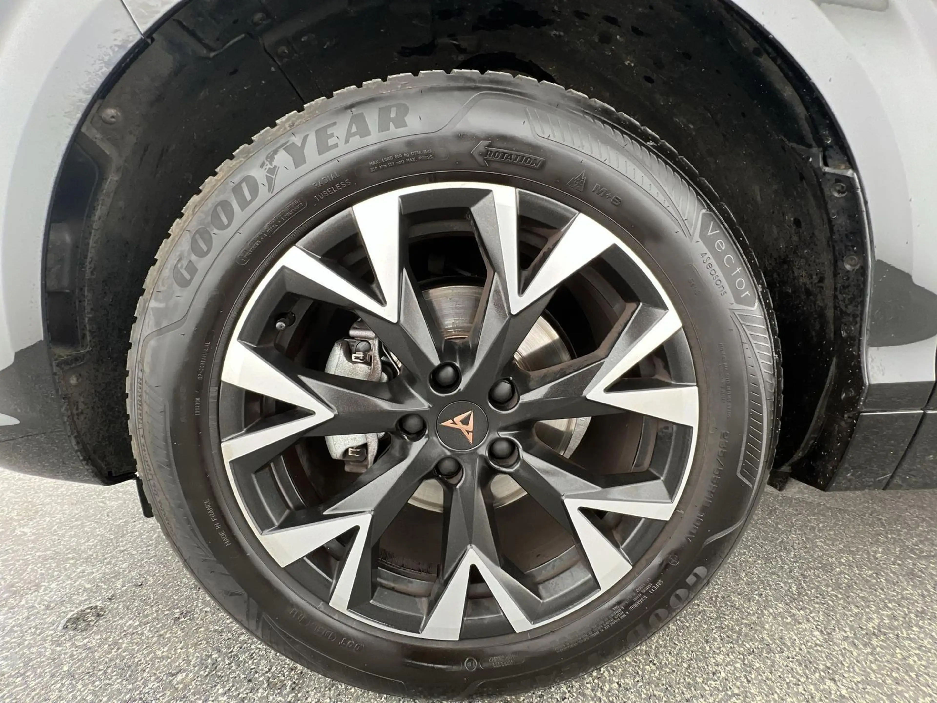 CUPRA Terramar Basis Hybrid 1.5eTSI*SHZ*NAVI*360°K*uvm — photo 6