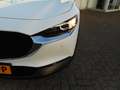 Mazda CX-30 2.5 e-SkyActiv-G M Hybrid Homura Weiß - thumbnail 8