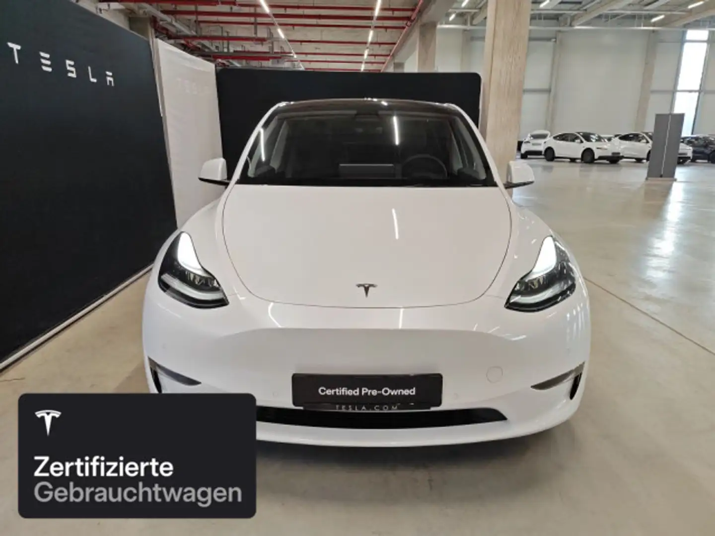 Tesla Model Y Long Range AWD Weiß - 2