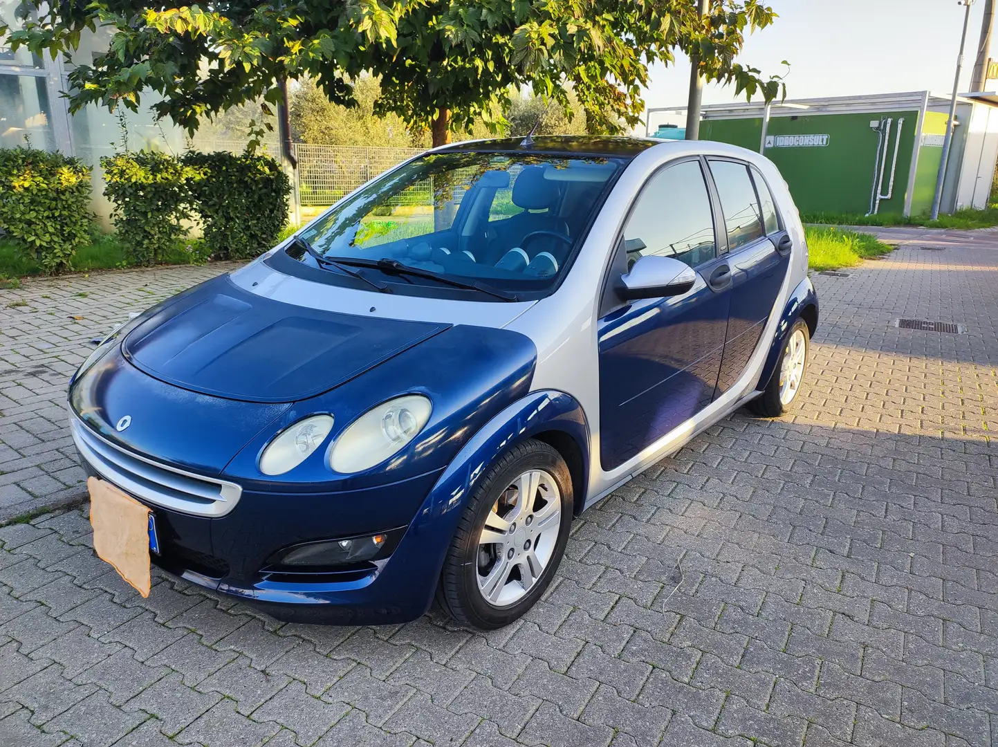 smart forFour Forfour 1.1 Passion softouch Albastru - 1