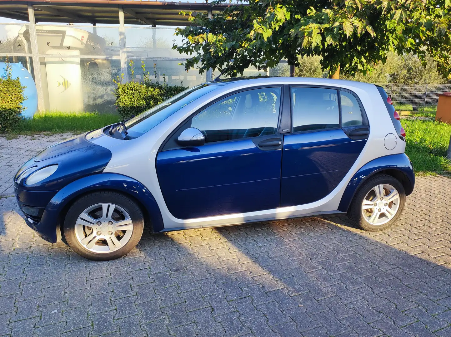 smart forFour Forfour 1.1 Passion softouch Albastru - 2