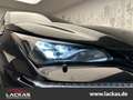 Lexus NX 300h F-Sport *Leder*Pano*HUD*360°Kamera*AHK Czarny - thumbnail 8