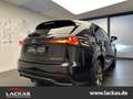 Lexus NX 300h F-Sport *Leder*Pano*HUD*360°Kamera*AHK Czarny - thumbnail 4