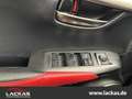 Lexus NX 300h F-Sport *Leder*Pano*HUD*360°Kamera*AHK Negru - thumbnail 15