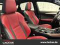 Lexus NX 300h F-Sport *Leder*Pano*HUD*360°Kamera*AHK Schwarz - thumbnail 17