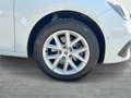 SEAT Leon Style 2.0 TDI DSG 150 PS Weiß - thumbnail 8
