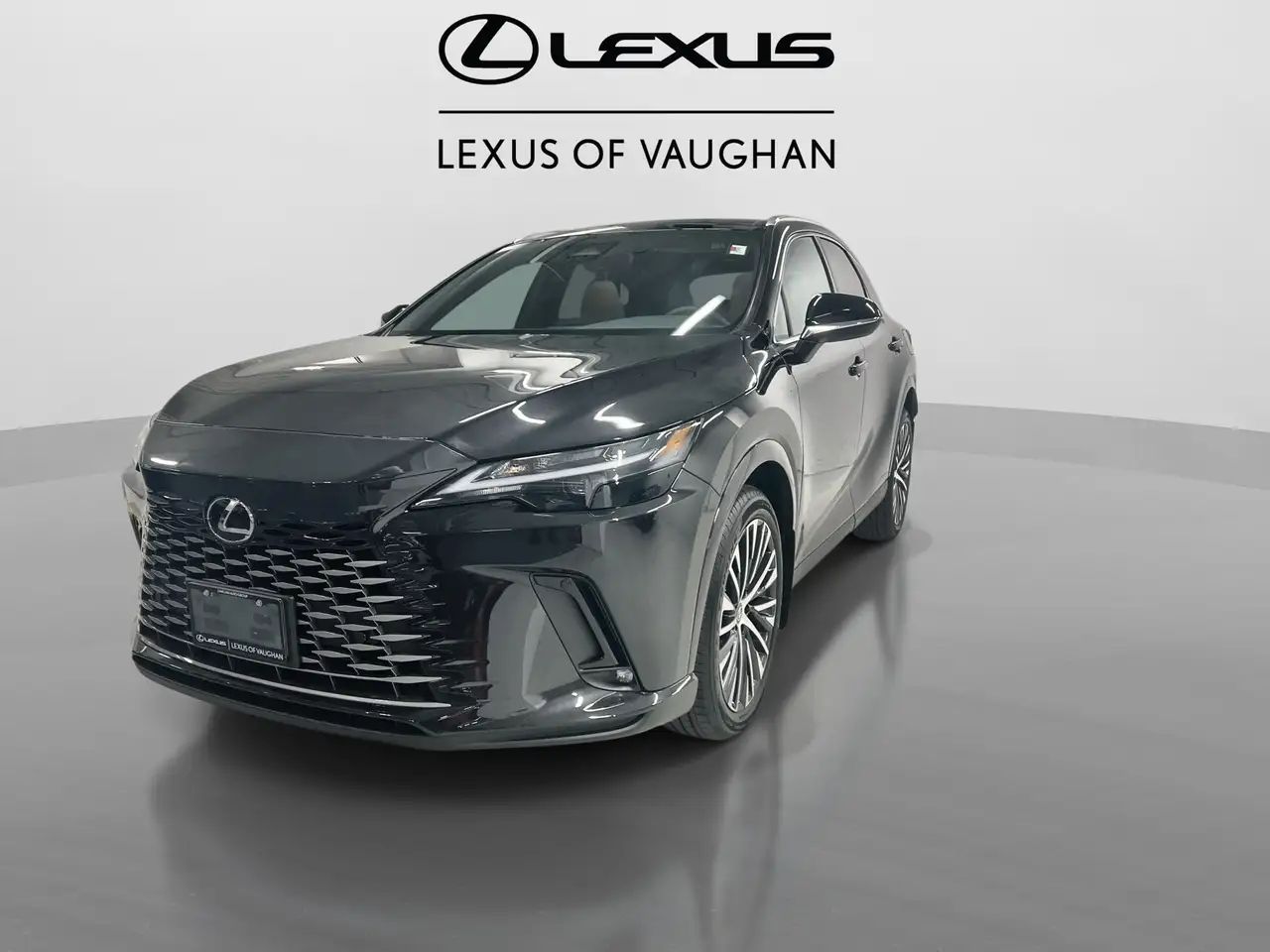 Lexus RX photo Lexus RX