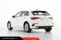 Audi A3 Sportback 30 g-tron S tronic Business Bianco - thumbnail 4