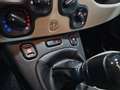 Fiat Panda LOUNGE 0.9 TWINAIR 85CV BENZ/METANO - UFFICIALE Bianco - thumbnail 12