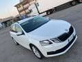 Skoda Octavia Octavia Wagon 1.6 tdi Active 115cv Bianco - thumbnail 8