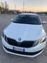 Skoda Octavia Octavia Wagon 1.6 tdi Active 115cv Bianco - thumbnail 1