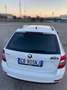 Skoda Octavia Octavia Wagon 1.6 tdi Active 115cv Bianco - thumbnail 7