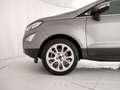 Ford EcoSport 1.0 ecoboost Titanium s&s 125cv my20.25 Brun - thumbnail 24