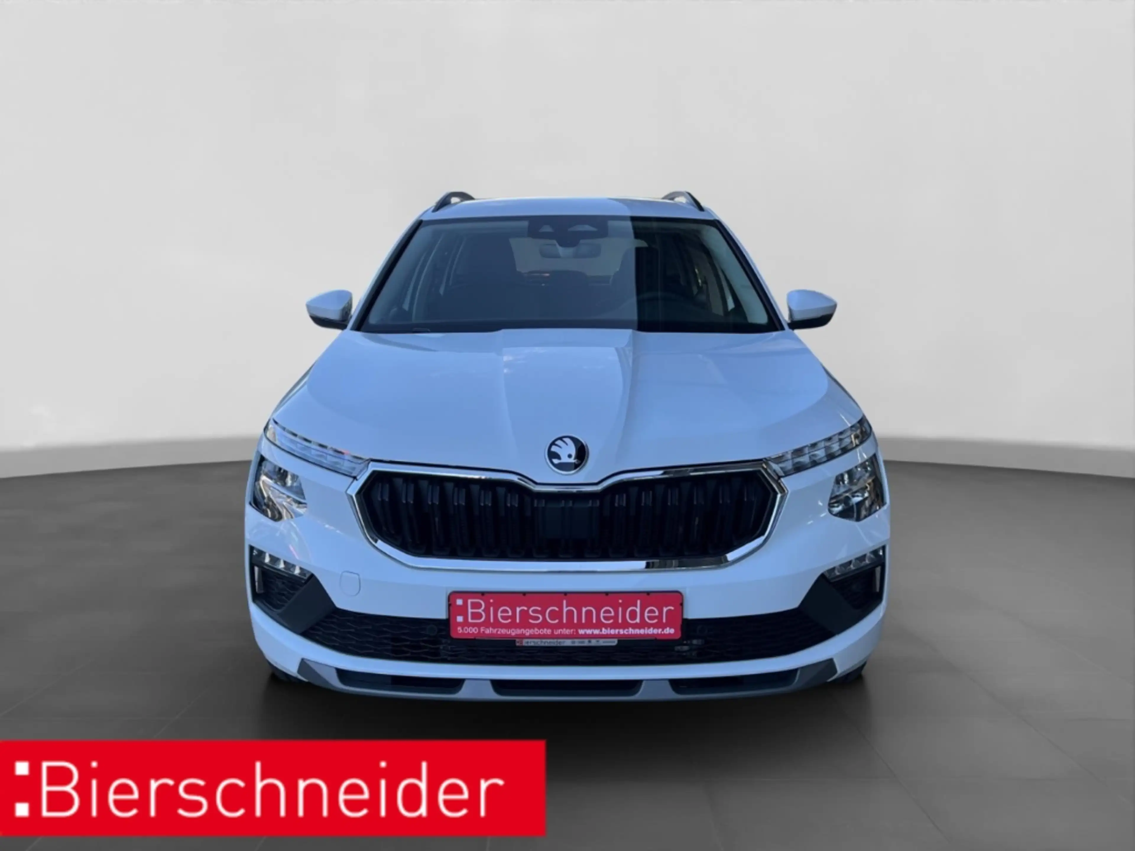 Skoda Kamiq 1.0 TSI DSG Selection NAVI AHK-VORB. LENKRADHEIZUN — photo 10