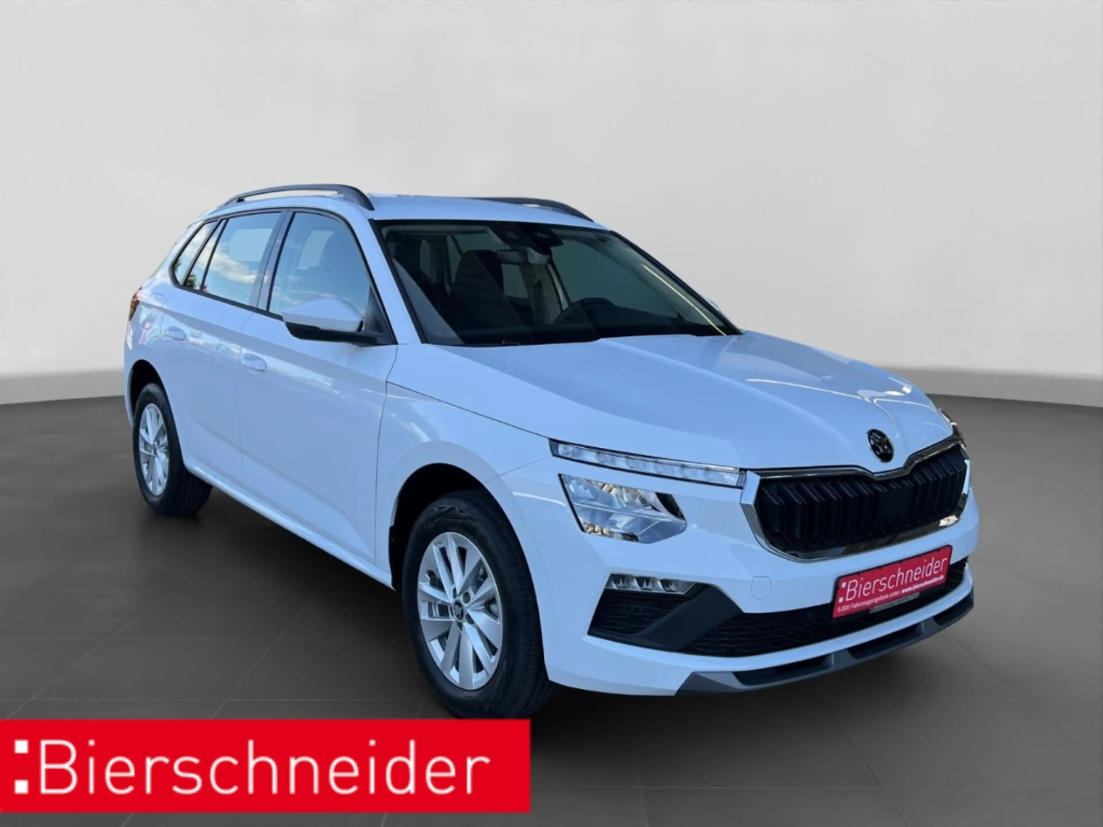 Skoda Kamiq 1.0 TSI DSG Selection NAVI AHK-VORB. LENKRADHEIZUN — photo 9