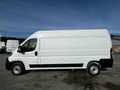 Fiat Ducato Kastenwagen Kasten MY25 (35 L3H2) 2.0 Mu... Weiß - thumbnail 3