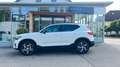 Volvo XC40 B4 Plus Dark/Panorama-SD/Business-P./+++ Weiß - thumbnail 2