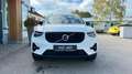 Volvo XC40 B4 Plus Dark/Panorama-SD/Business-P./+++ Weiß - thumbnail 1