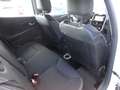 Renault Clio 1.5 DCI 90CH ENERGY BUSINESS ECO² EDC EURO6 2015 Blanc - thumbnail 6