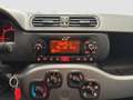 Fiat Panda 1.3 MJT 80 CV S&S 4x4*PROMO*GANCIO TRAINO* Zilver - thumbnail 13