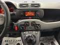 Fiat Panda 1.3 MJT 80 CV S&S 4x4*PROMO*GANCIO TRAINO* Zilver - thumbnail 12