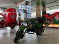 Honda Monkey 125 Dax Replica*Sportauspuff* Zelená - thumbnail 2
