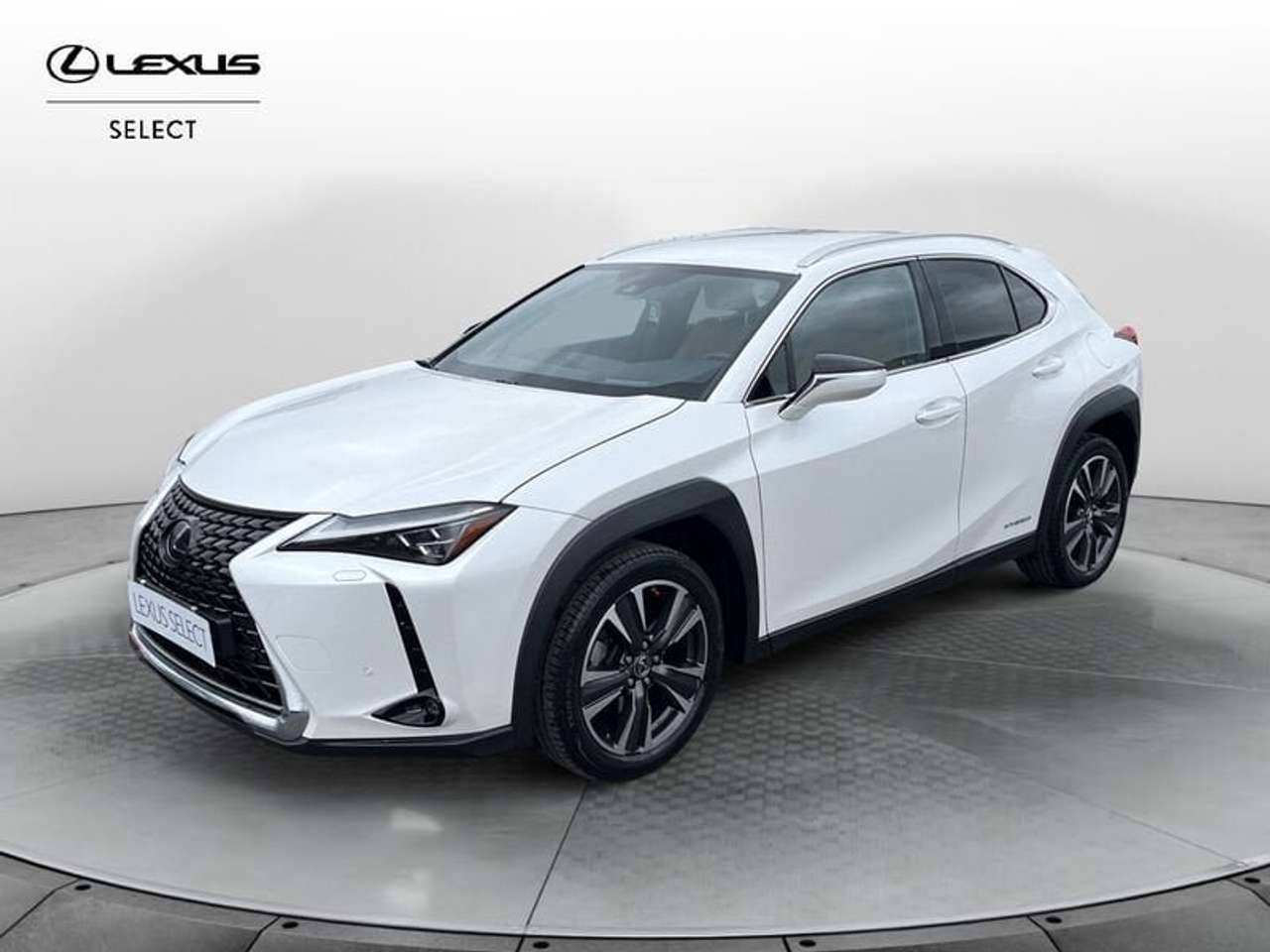 Lexus UX 250h 250h 2.0 Luxury 2wd cvt
