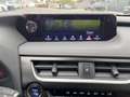 Lexus UX 250h 250h 2.0 Luxury 2wd cvt Blanc - thumbnail 12