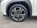 Lexus UX 250h 250h 2.0 Luxury 2wd cvt Blanc - thumbnail 10