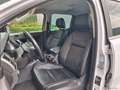Ford Ranger 2.2 Limited GANCIO+RIDOTTE+BLOCCAGGIO IVA Bianco - thumbnail 10